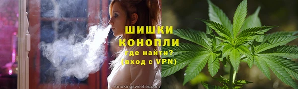 крисы Вязьма