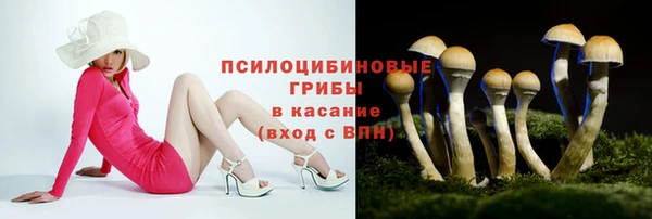 каннабис Нестеровская
