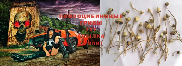 apvp Горнозаводск
