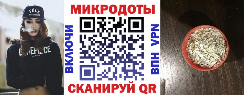 Галлюциногенные грибы Psilocybine cubensis  Губкин 