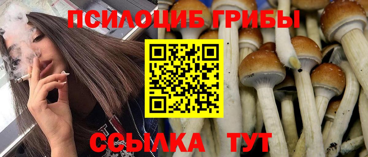 Псилоцибиновые грибы Cubensis  Вход с VPN  Губкин 