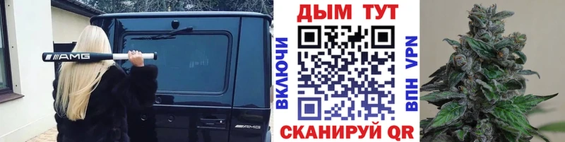 Каннабис THC 21%  площадка какой сайт  Губкин 