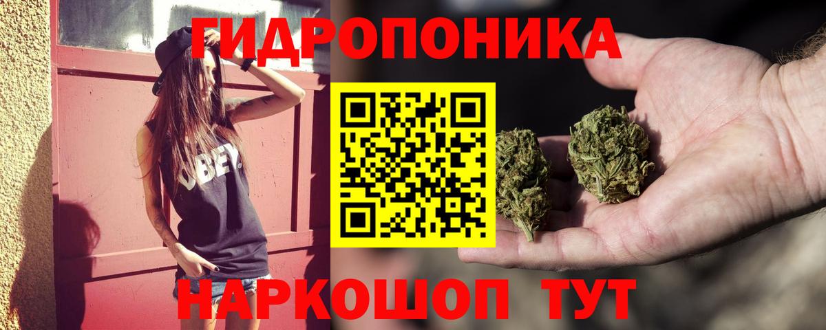 Губкин  Бошки Шишки Amnesia  Марихуана индика  Марихуана OG Kush  Вход с VPN  Бошки Шишки SATIVA & INDICA 