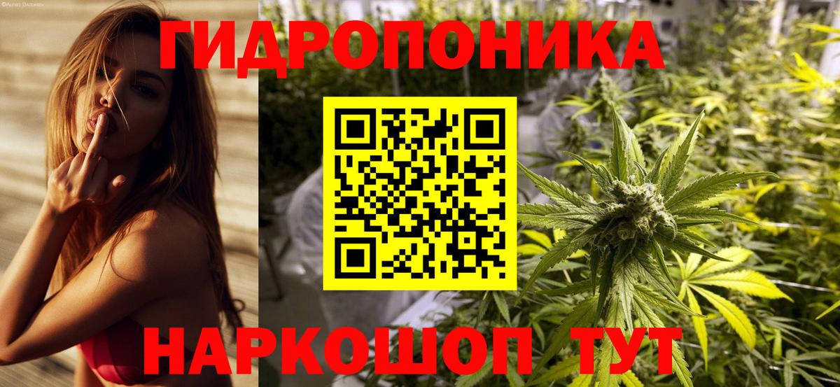 Бошки Шишки сатива Губкин